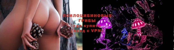 метадон Алексеевка